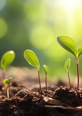 续写绿色篇章 | 连续两年获认证！bet356官网入口助力哈尔斯成功卫冕 ISCC PLUS，共践可持续长期主义