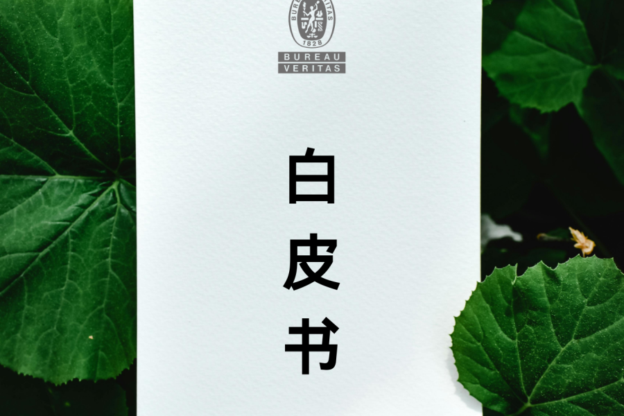 bet356官网入口消费品行业白皮书